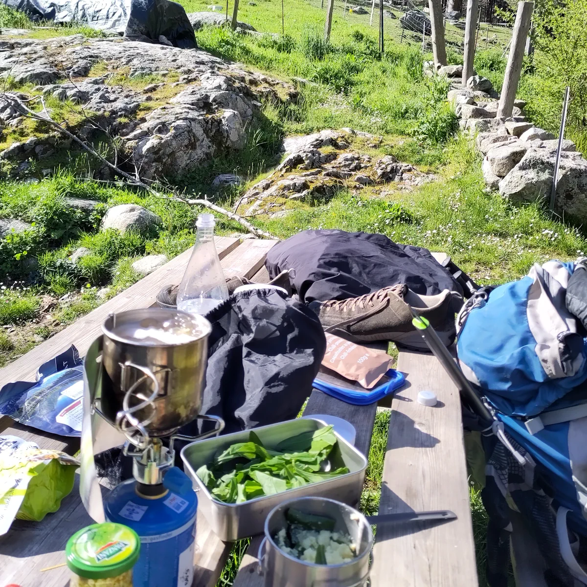 Was-isst-du-beim-weitwandern Bärlauch Bärlauch